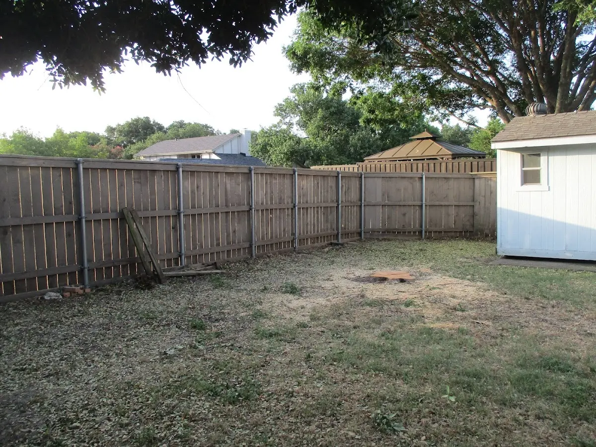 Cleared yard after professional tree removal in Beech Creek