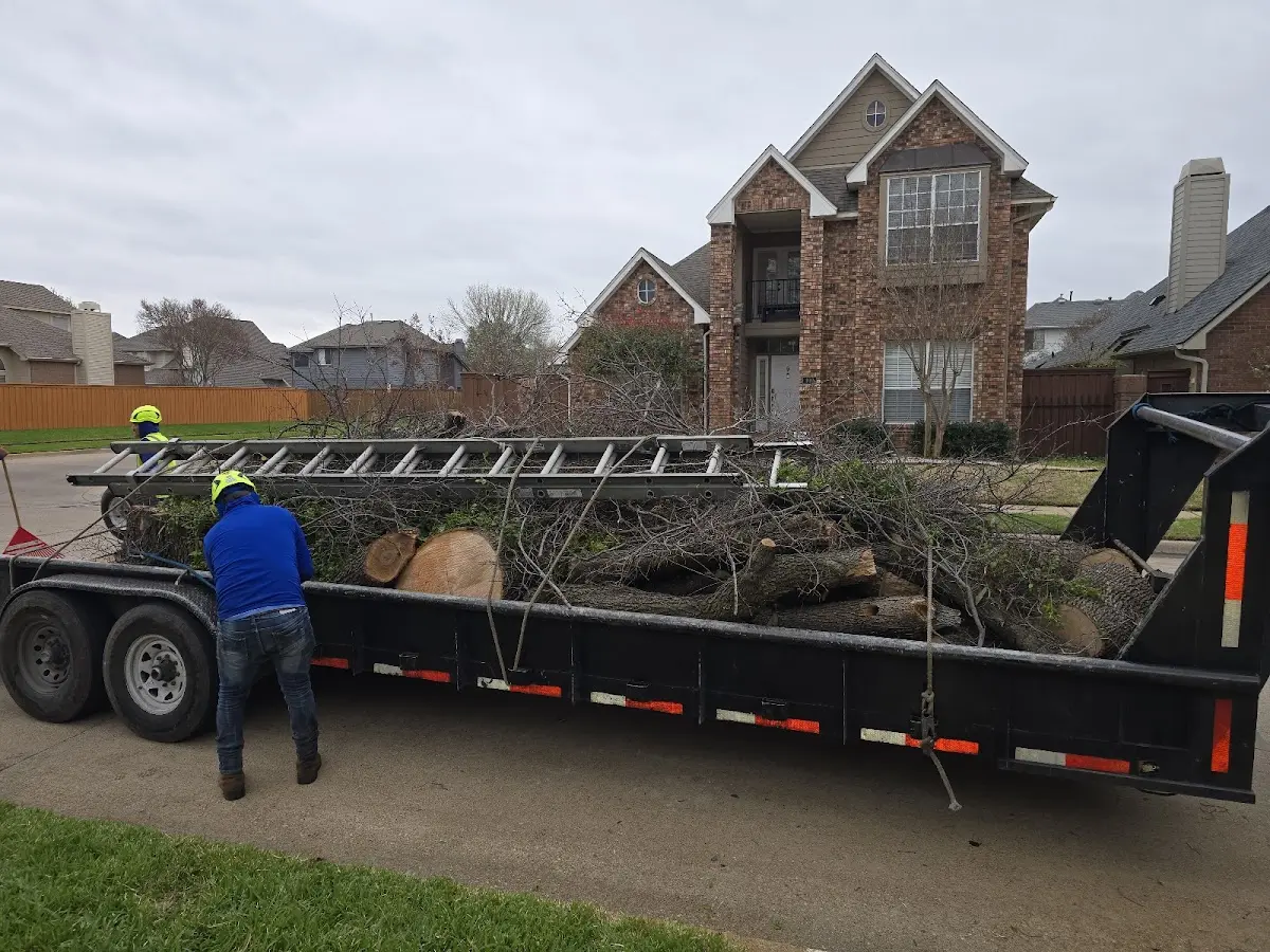Expert Tree Fertilization with proper safety equipment in Beech Creek
